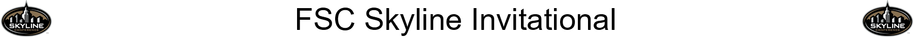 Skyline banner